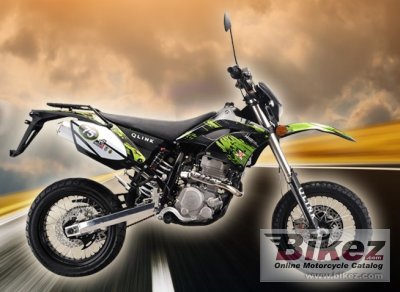 2013 Qlink MT 250 photo